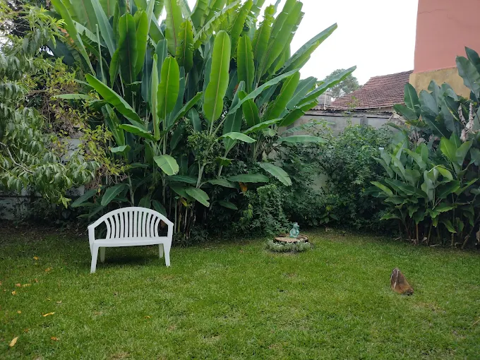 Jardim externo do Mauna Cidade