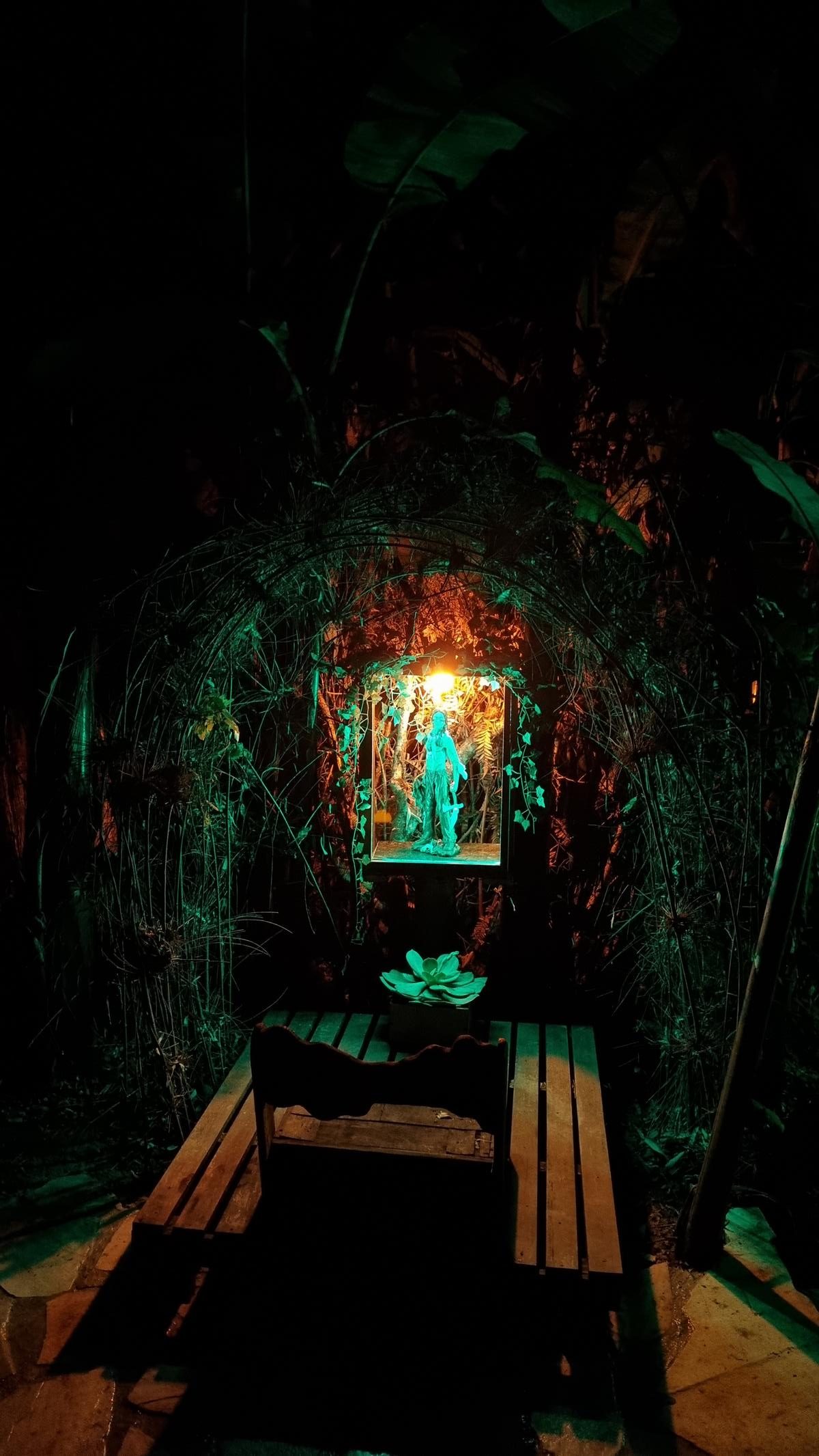 Fogueira na noite Mauna Floresta